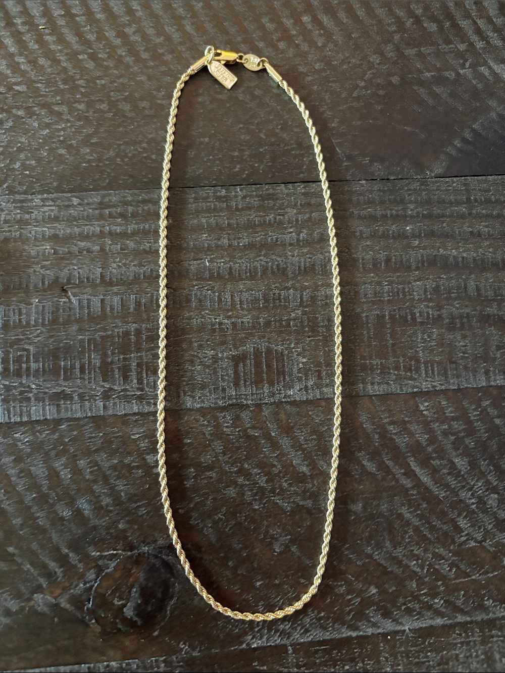 Electric Picks x Daryl Ann Denner necklace